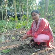 Donate a Tree & Help us for Treee Plantation Program