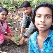 Donate a Tree & Help us for Treee Plantation Program