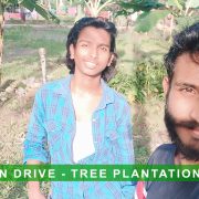 Donate a Tree & Help us for Treee Plantation Program
