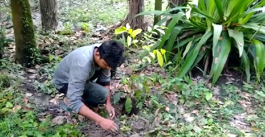 Mission Green Drive – Tree Plantation Program (03)