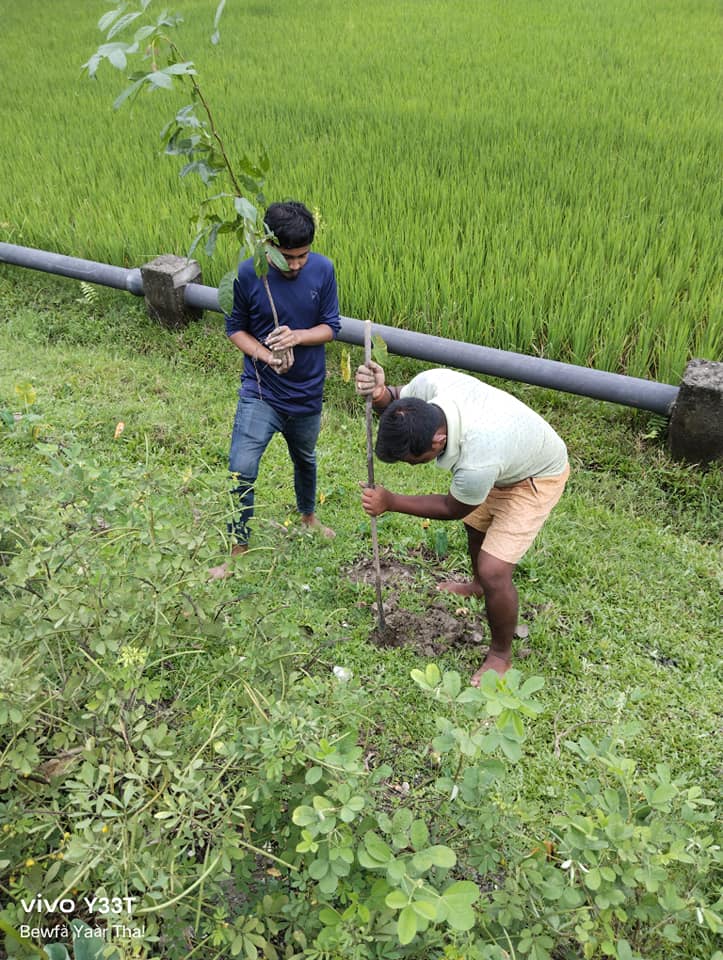 Tree Plantation Drive 2K23 #19