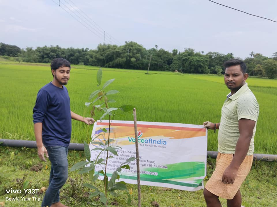 Tree Plantation Drive 2K23 #19