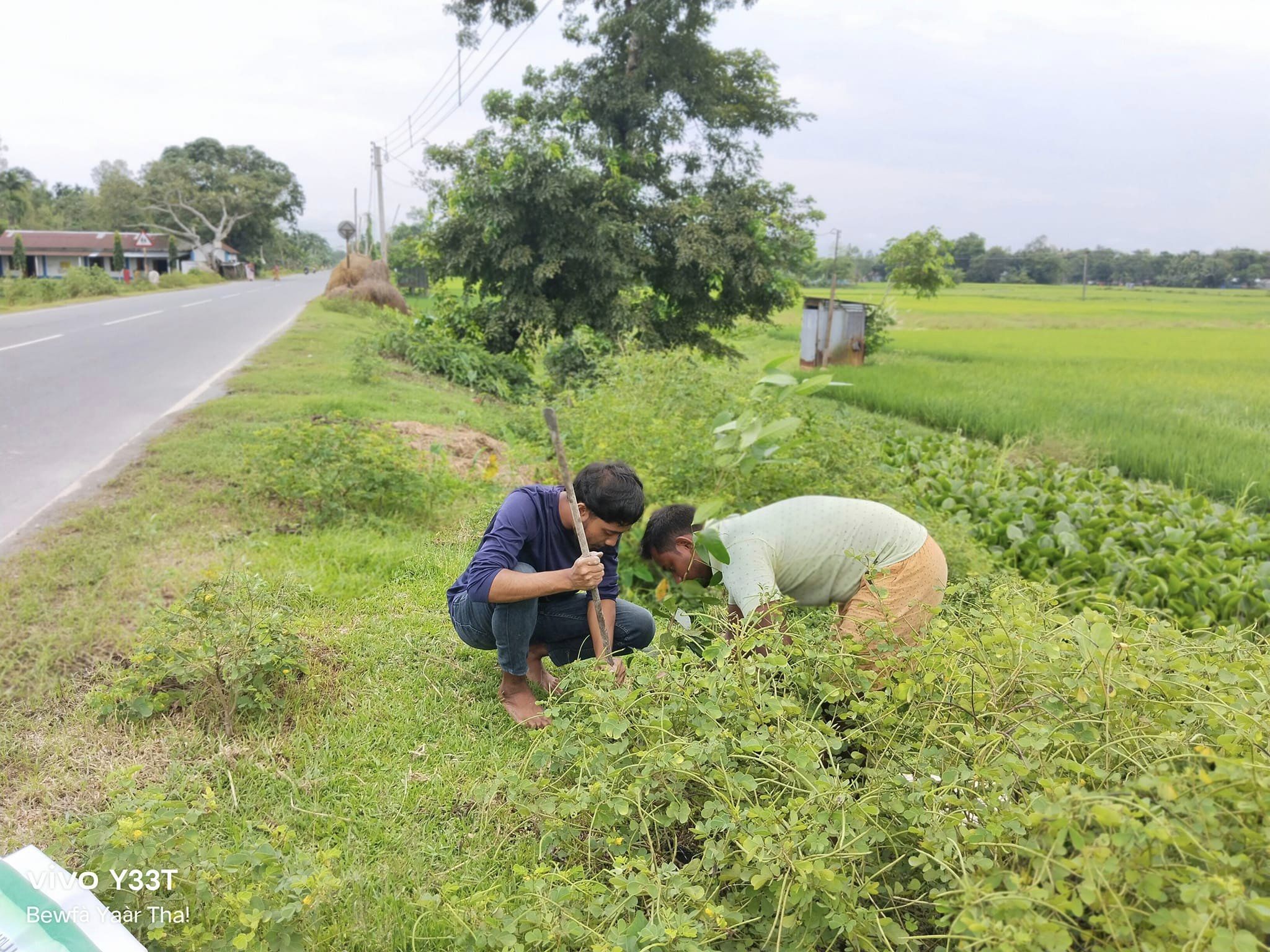 Tree Plantation Drive 2K23 #19