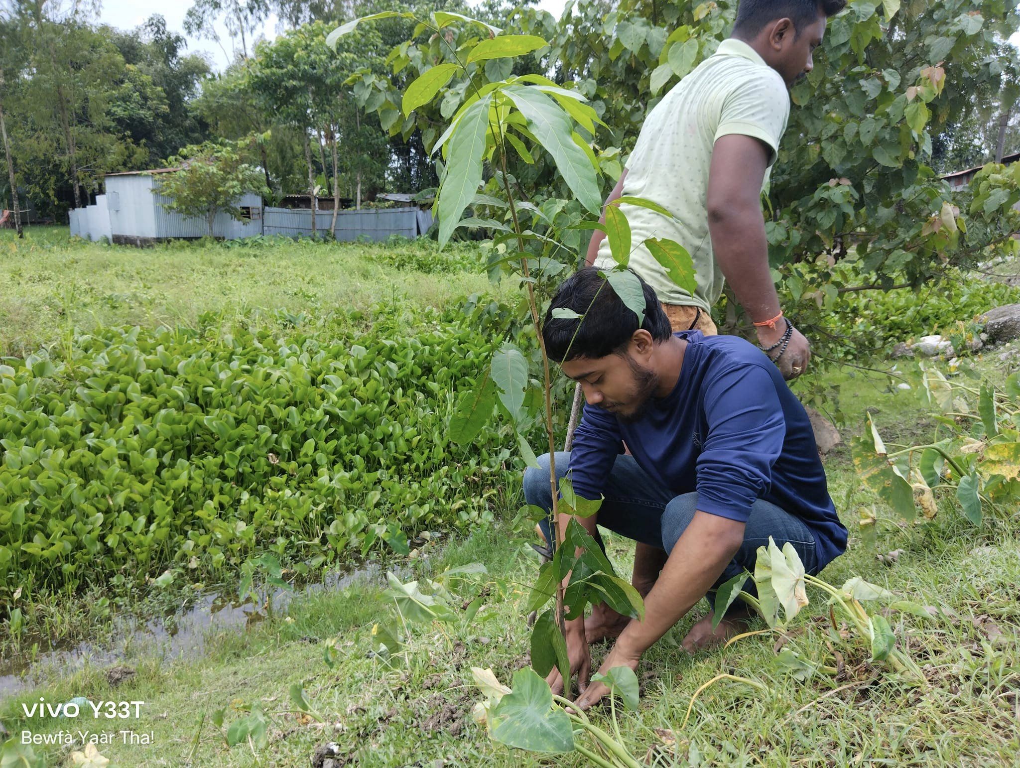 Tree Plantation Drive 2K23 #19